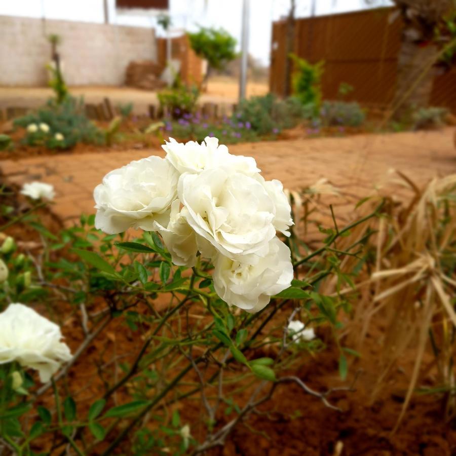 Belle Vue Bed & Breakfast Palapye Esterno foto